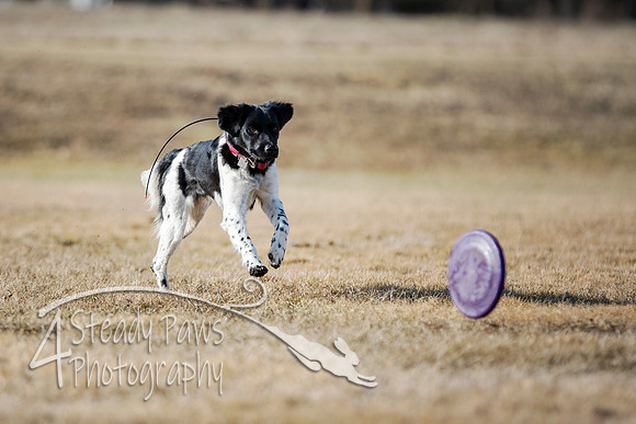 2020FebDiscLeague_2001