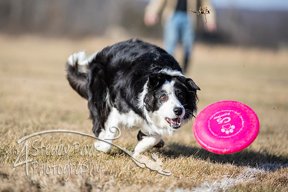 2020FebDiscLeague_1893