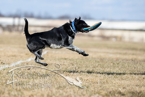 2020FebDiscLeague_1827