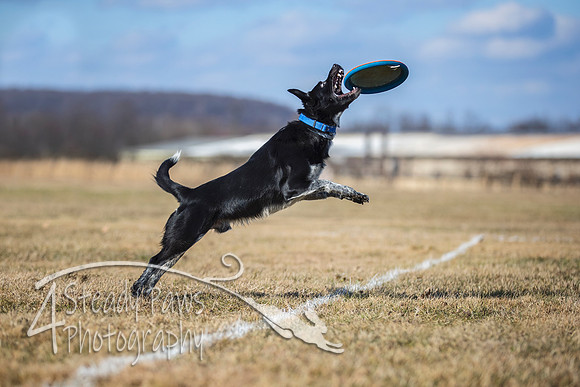 2020FebDiscLeague_1816