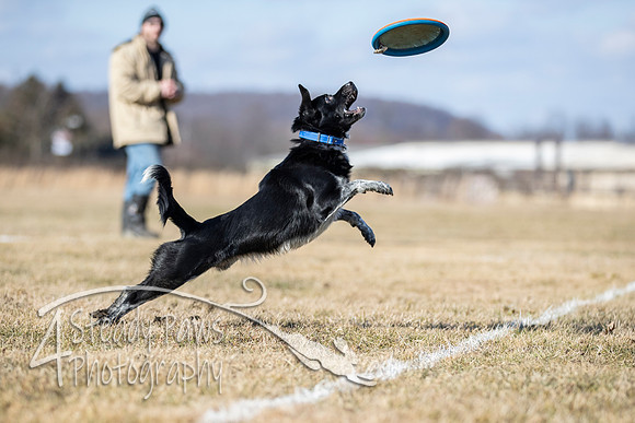 2020FebDiscLeague_1814