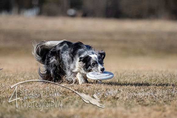2020FebDiscLeague_1808