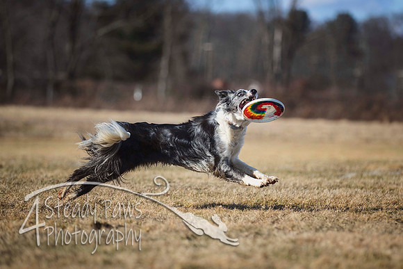 2020FebDiscLeague_1759