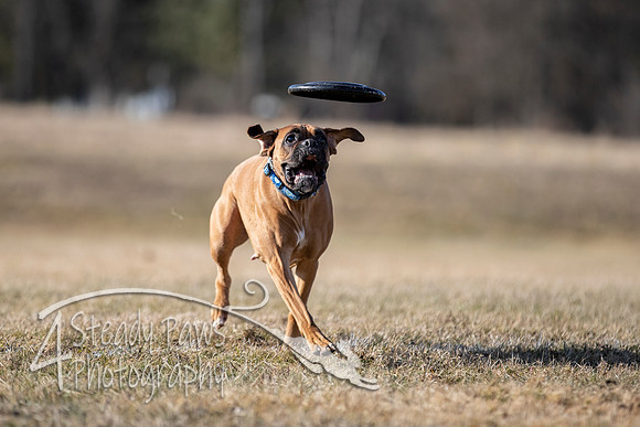2020FebDiscLeague_1738