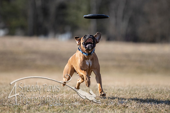 2020FebDiscLeague_1736