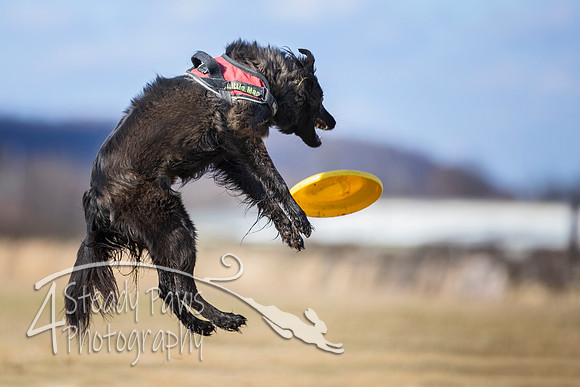2020FebDiscLeague_1602