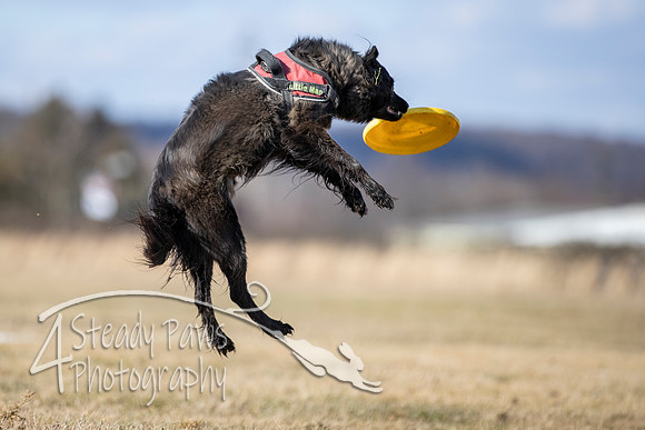 2020FebDiscLeague_1605