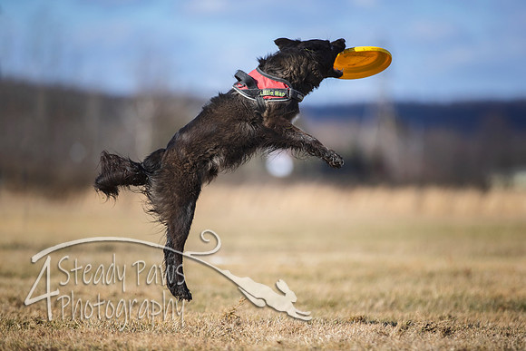 2020FebDiscLeague_1601