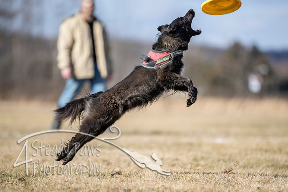 2020FebDiscLeague_1604