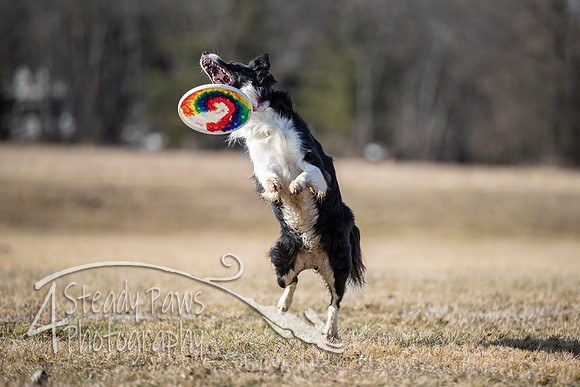 2020FebDiscLeague_1530