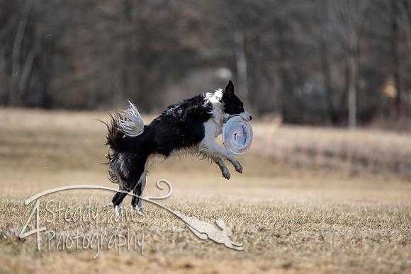 2020FebDiscLeague_1502