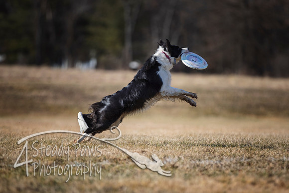 2020FebDiscLeague_1509