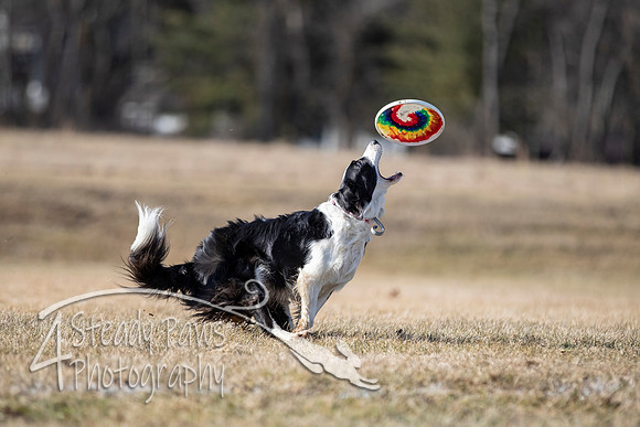 2020FebDiscLeague_1510