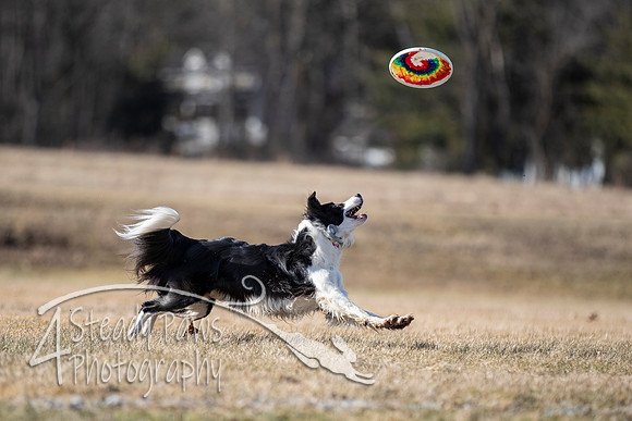 2020FebDiscLeague_1507
