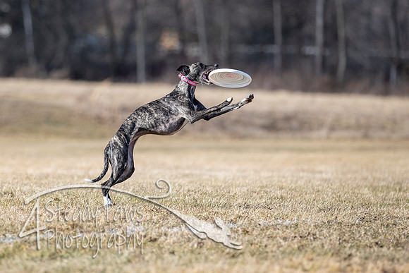 2020FebDiscLeague_1490