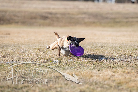 2020FebDiscLeague_1468