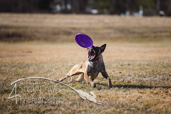 2020FebDiscLeague_1454