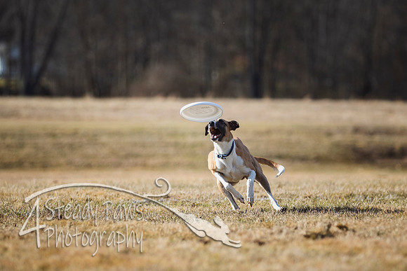 2020FebDiscLeague_1325