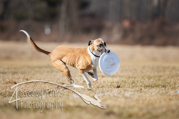 2020FebDiscLeague_1302