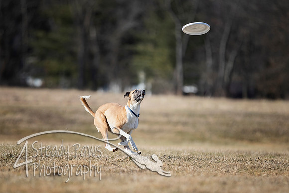 2020FebDiscLeague_1296