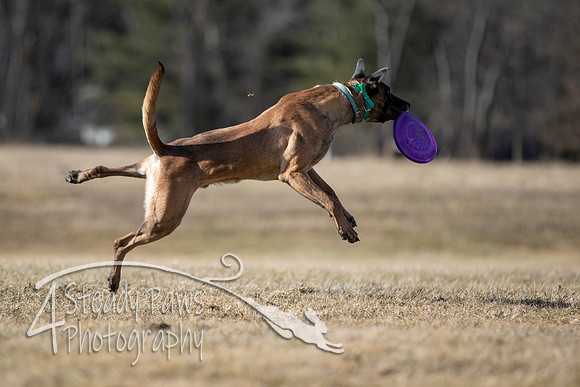 2020FebDiscLeague_1233