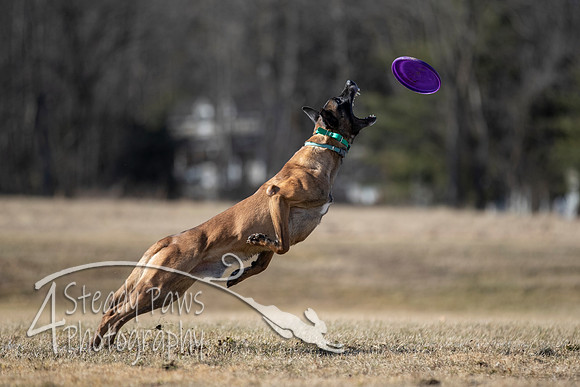 2020FebDiscLeague_1229