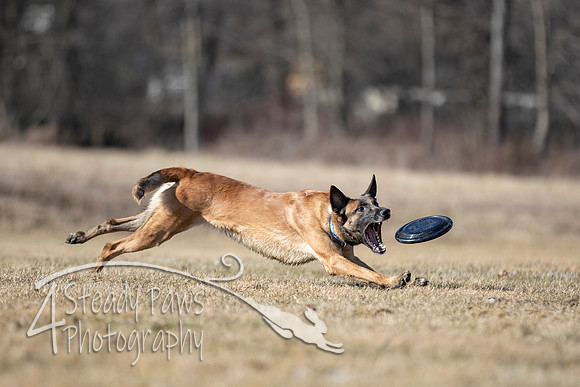 2020FebDiscLeague_1151
