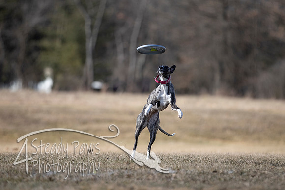 2020FebDiscLeague_1049