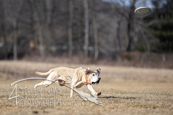 2020FebDiscLeague_0986