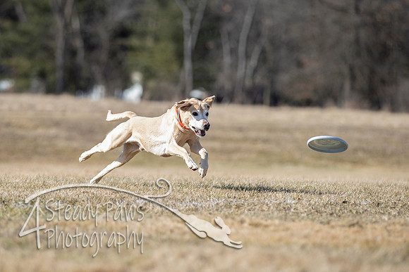 2020FebDiscLeague_0969