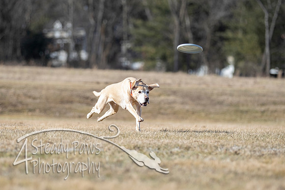 2020FebDiscLeague_0972