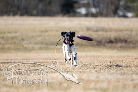 2020FebDiscLeague_0959