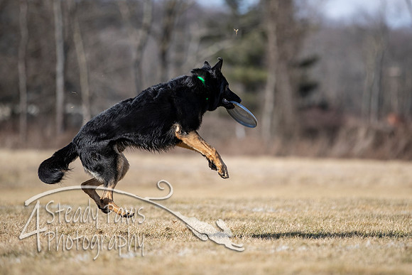 2020FebDiscLeague_0923