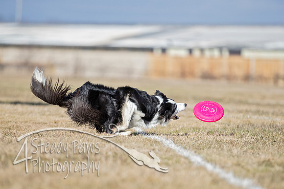 2020FebDiscLeague_0879
