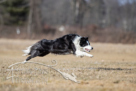 2020FebDiscLeague_0876