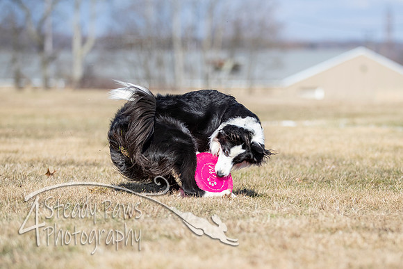2020FebDiscLeague_0865