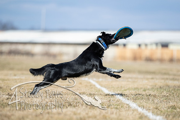 2020FebDiscLeague_0817