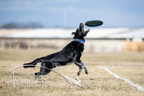 2020FebDiscLeague_0821