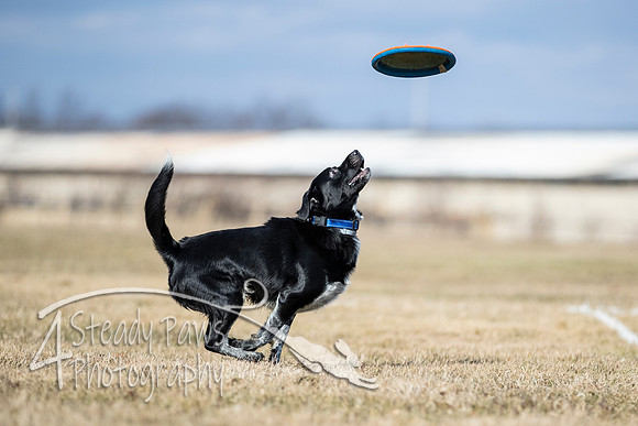 2020FebDiscLeague_0819