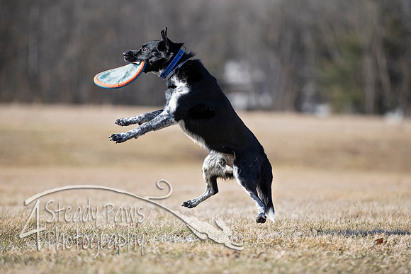 2020FebDiscLeague_0799