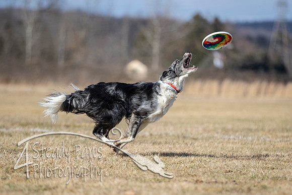 2020FebDiscLeague_0772