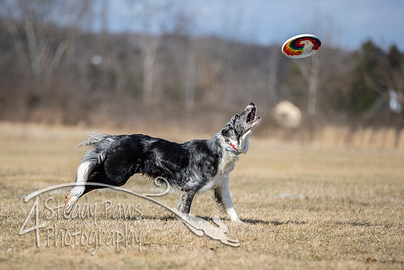 2020FebDiscLeague_0769