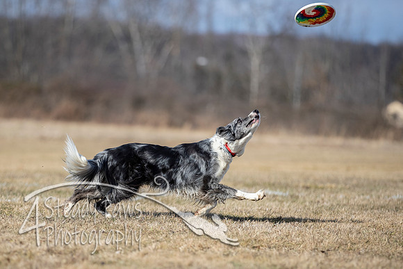 2020FebDiscLeague_0775