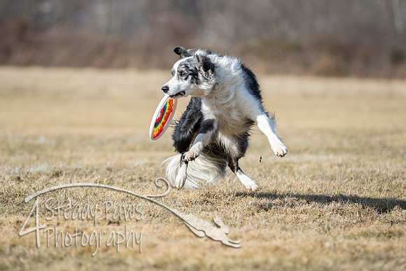 2020FebDiscLeague_0763