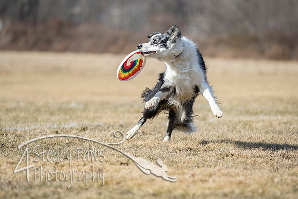 2020FebDiscLeague_0766