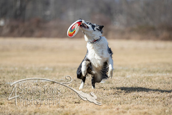 2020FebDiscLeague_0768