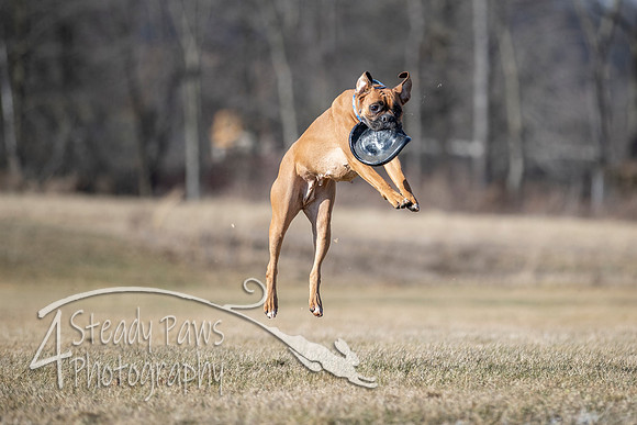 2020FebDiscLeague_0754