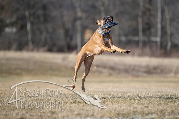 2020FebDiscLeague_0747