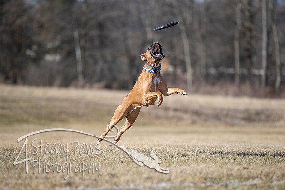 2020FebDiscLeague_0748