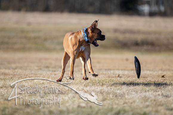 2020FebDiscLeague_0734
